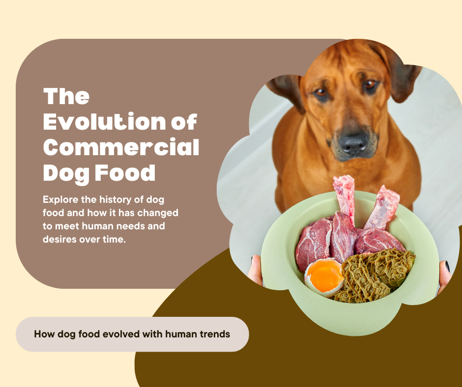 The Evolution of Commercial Dog Food: Reflecting Human Needs and Desires
