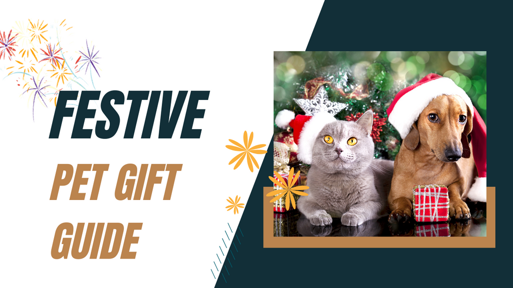 Festive Pet Gift Guide: Top Presents for Your Furry Friends