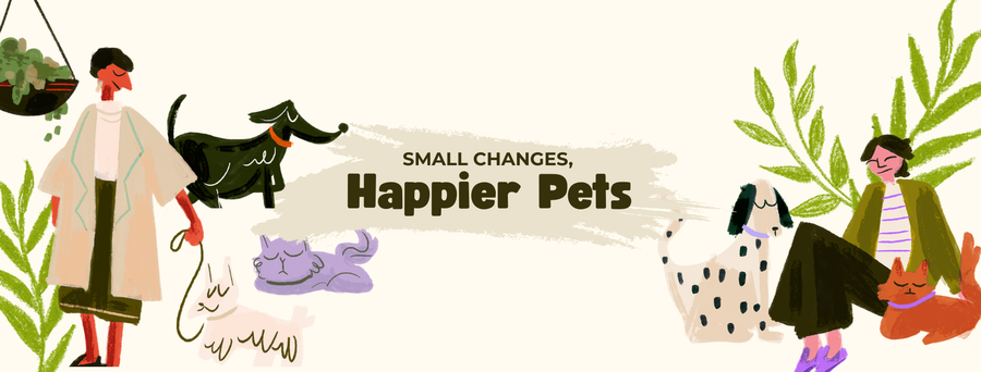 Is Your Pet Truly Comfortable at Home?
