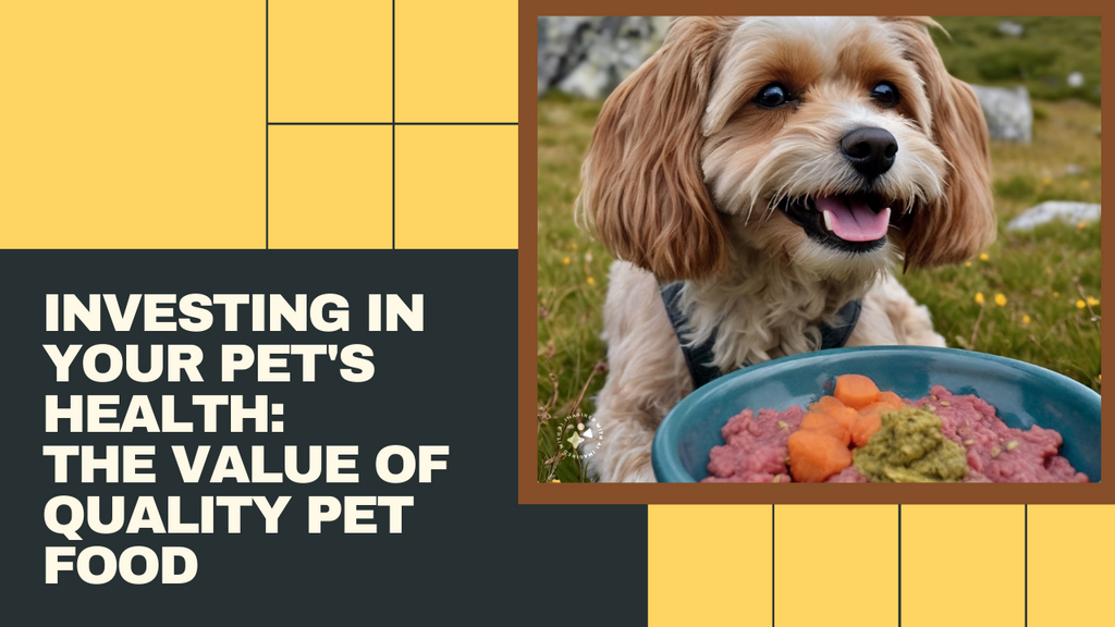 Investing in Your Pet's Health: Unveiling the Value of Quality Pet Food