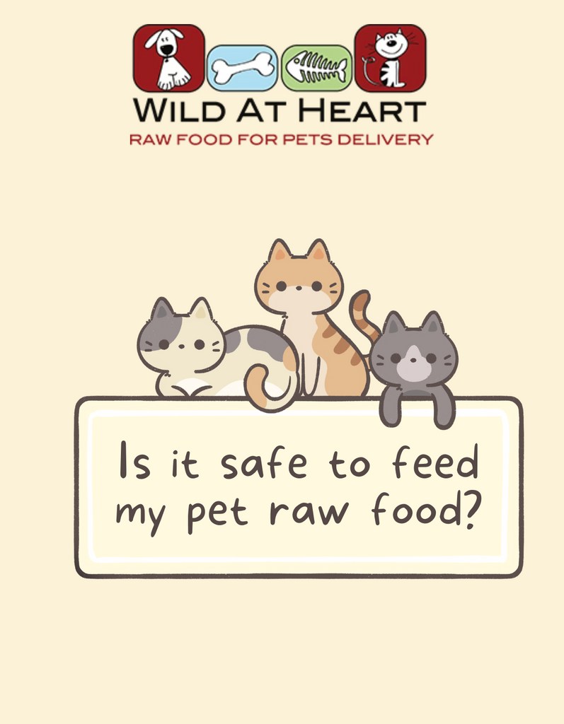 Is it safe to feed my pet raw food?