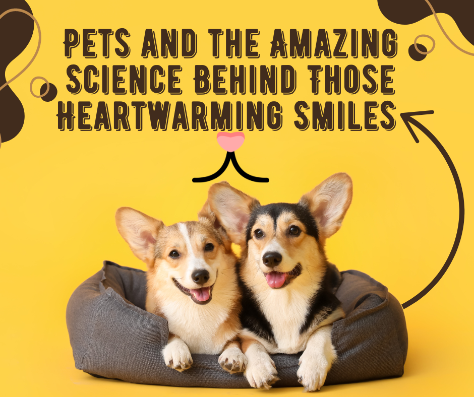 Pets and the Amazing Science Behind Those Heartwarming Smiles