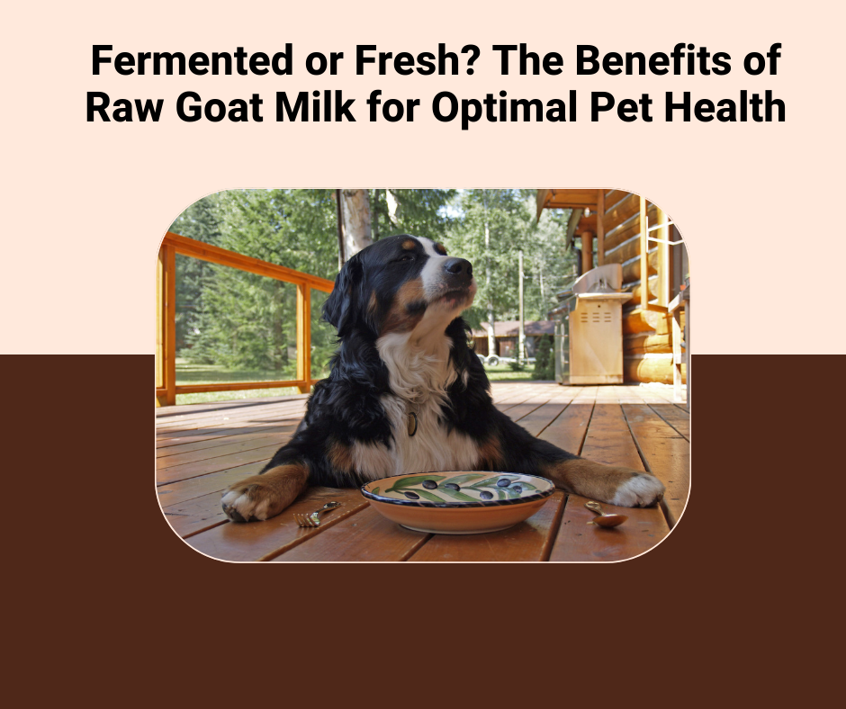 Fermented or Fresh? The Benefits of Raw Goat Milk for Optimal Pet Health