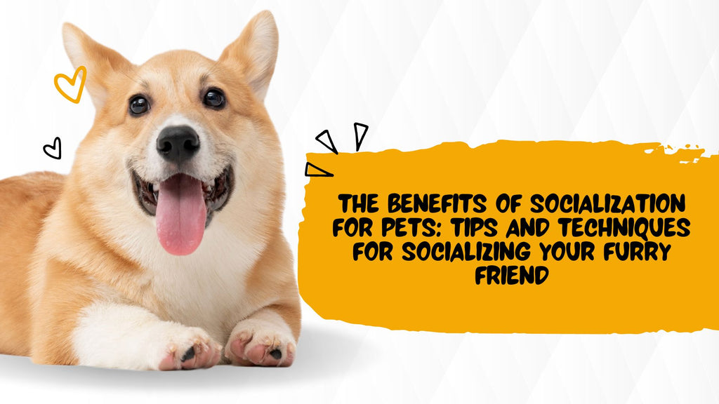 The Benefits of Socialization for Pets: Tips and Techniques for Socializing Your Furry Friend