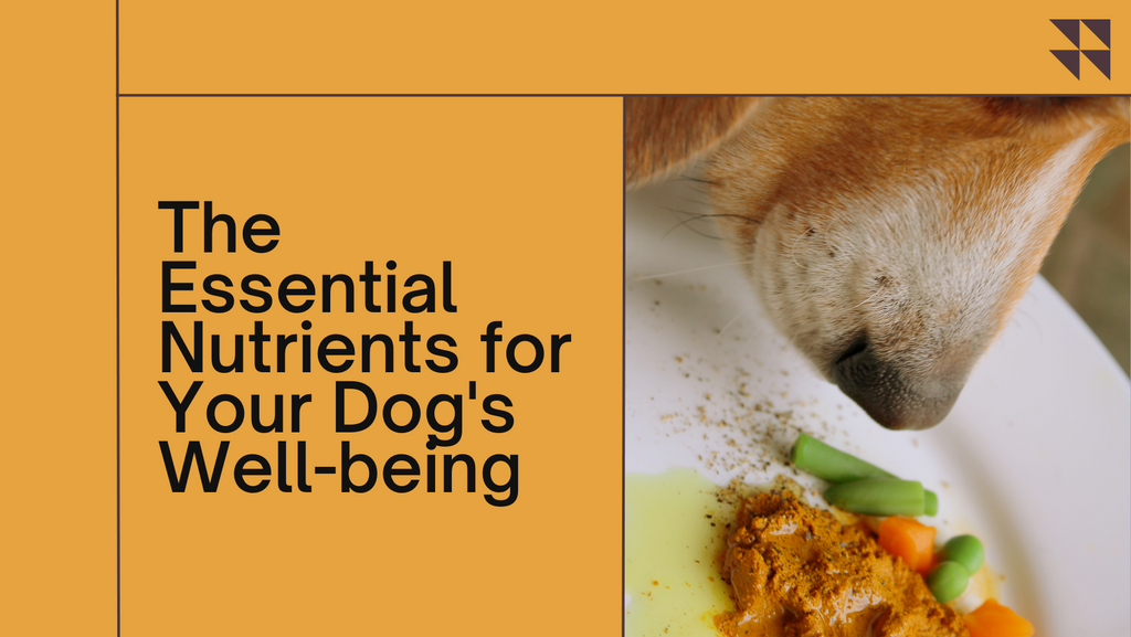 The Vital Nutrients Powering Your Pup's Health