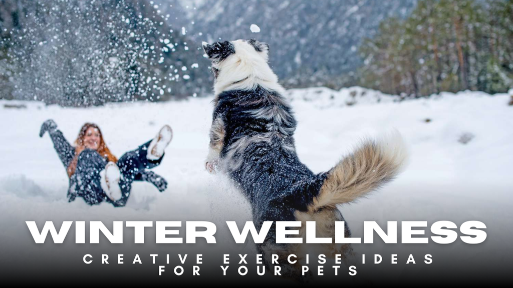 Furry Friends Need Fun Too: Winter Activities for Indoor Pets