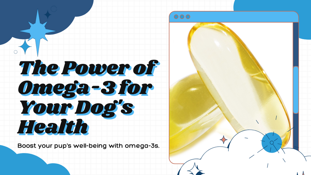 Unveiling the Power of Omega-3 Fatty Acids for Canine Health