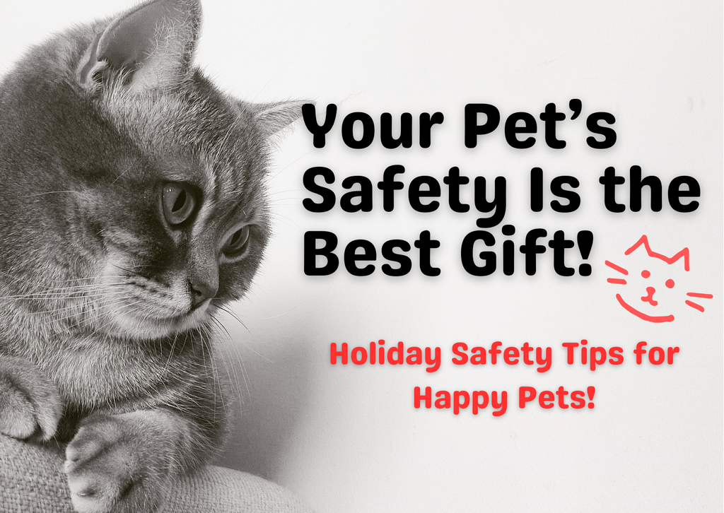 Christmas Pet Safety: How to Keep Your Furry Friends Happy and Healthy This Holiday Season