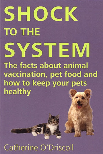 Shock the System E-Book