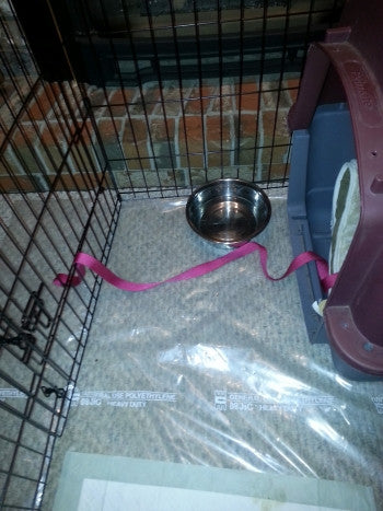 Cruel and unusual punishment....