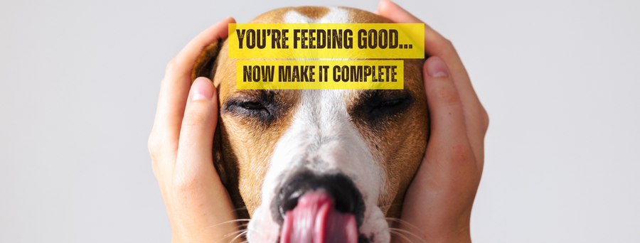 The #1 thing every raw feeder forgets!