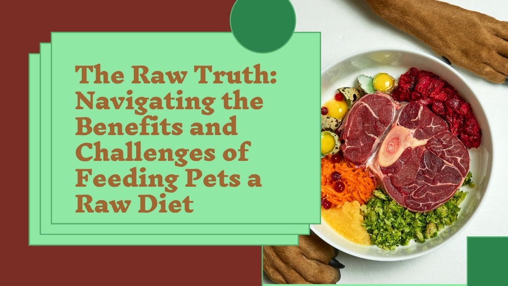 The Raw Truth: Navigating the Benefits and Challenges of Feeding Pets a Raw Diet