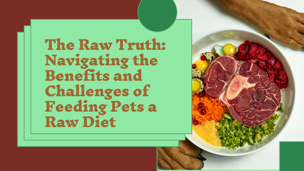 The Raw Truth: Navigating the Benefits and Challenges of Feeding Pets ...
