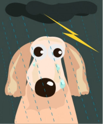 Standing Still… In a thunder storm