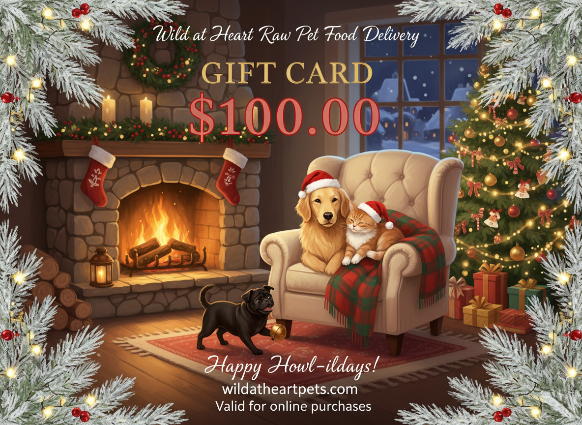 Christmas Gift Card