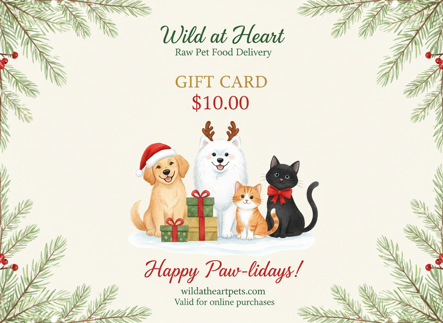 Christmas Gift Card