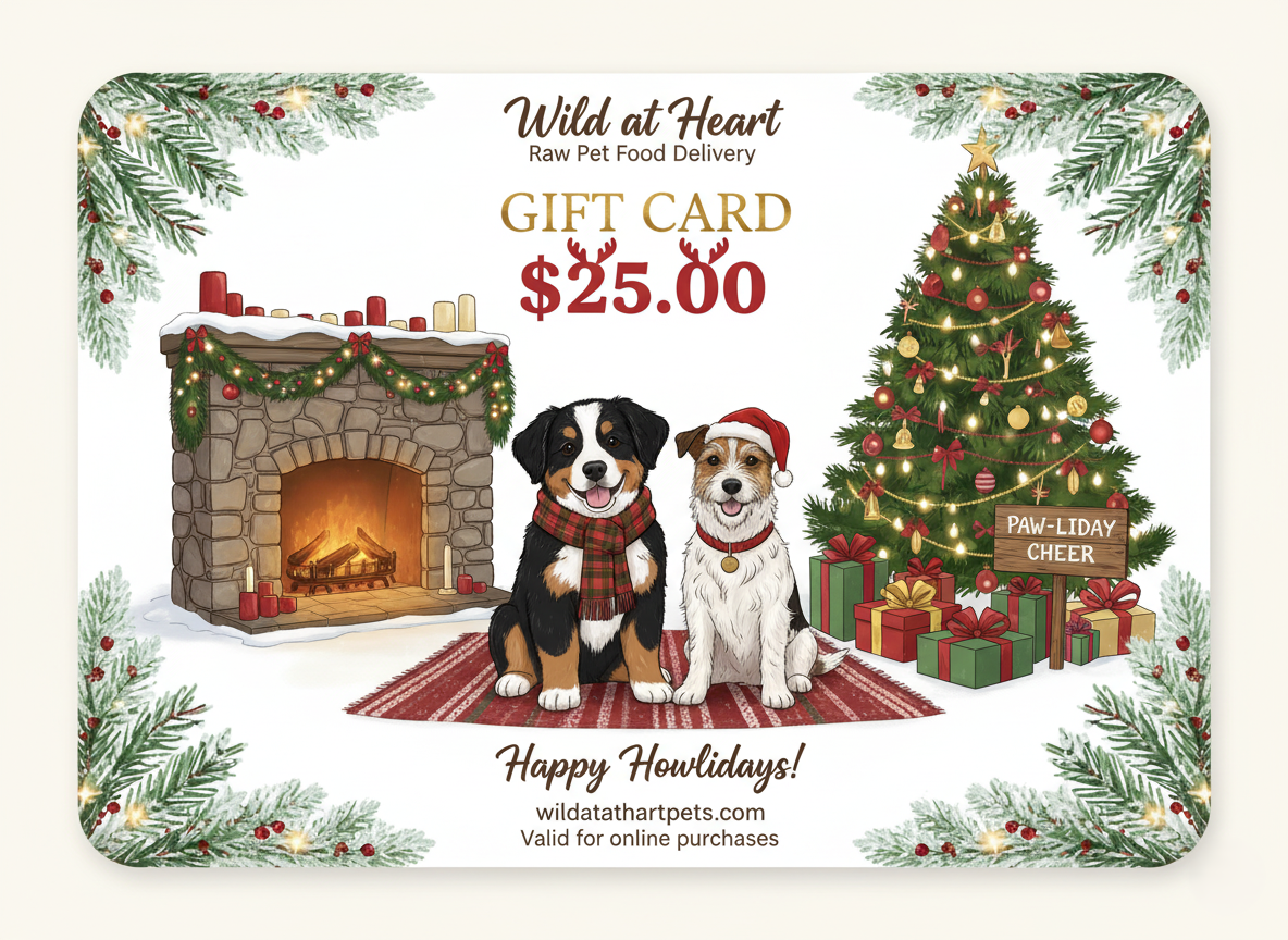 Christmas Gift Card