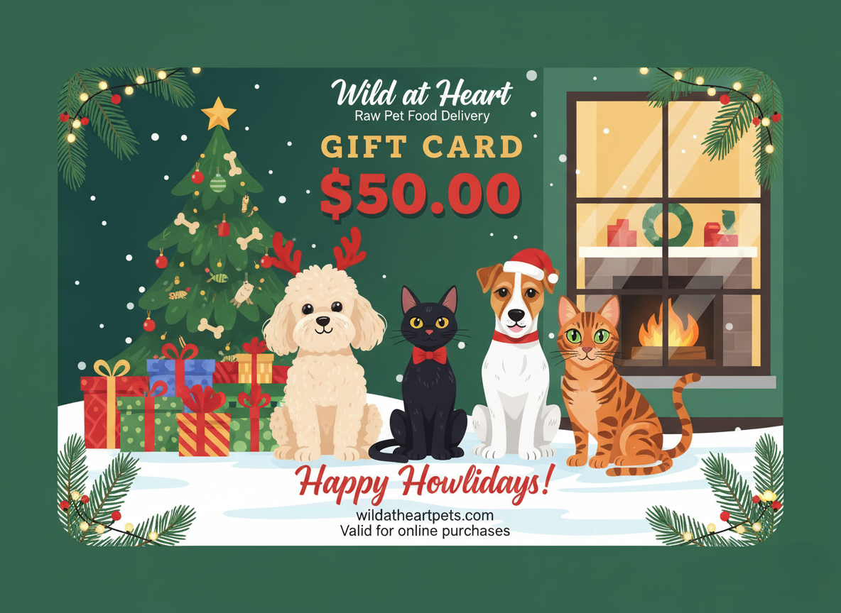 Christmas Gift Card