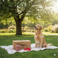 Carnivora Diet - Chicken Meaty Bone - 25lb Box