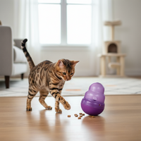 KONG Wobbler™ for Cats