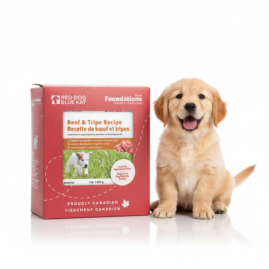 RDBK - Foundations Beef & Tripe Recipe for Dogs - Bulk