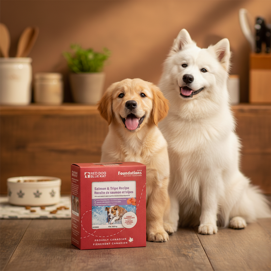 RDBK - Foundations Dog Salmon & Tripe