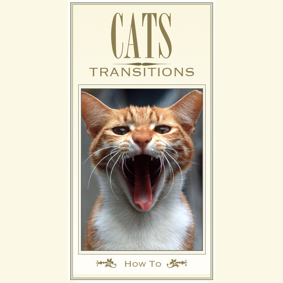 Cat Transitions Brochure