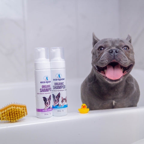 Eco Spaw Organic Pet Shampoo, 7oz (207mL)