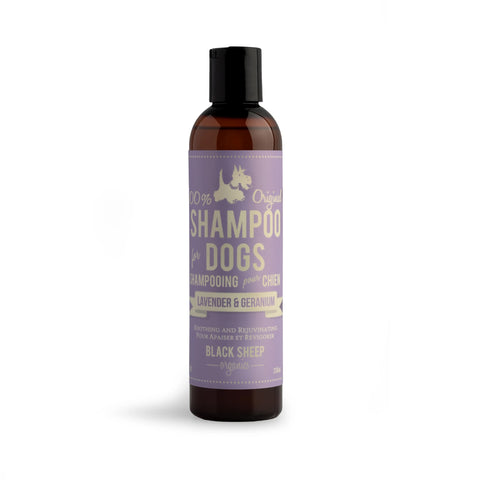 Black Sheep Organic Pet Shampoo - Lavender & Geranium - 8oz (226ml)