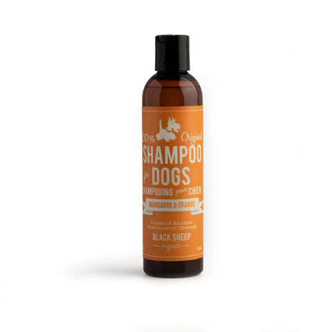 Black Sheep Organic Pet Shampoo - Mandarin & Orange - 8oz (226ml)