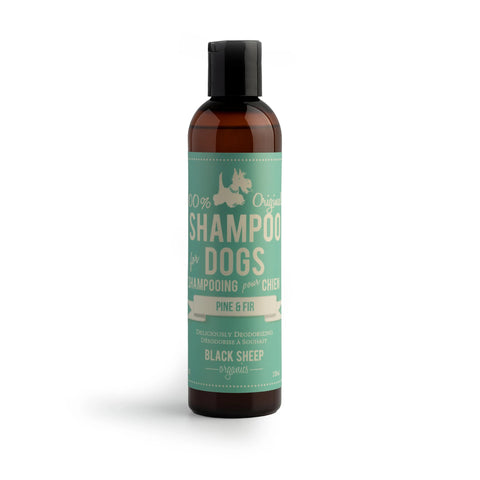 Black Sheep Organic Pet Shampoo - Pine & Fir - 8oz (226ml)