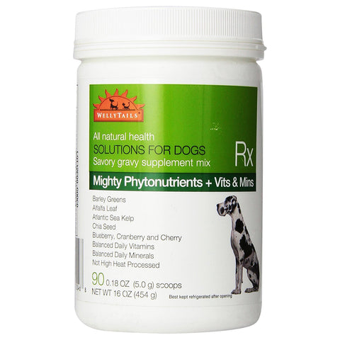 Wellytails - Mighty Green Phytonutrients + Vitamins & Minerals